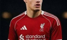 爱游戏娱乐-关于利物浦小将表现抢眼，劲旅添新力量的信息