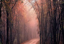 爱游戏官网app-不来梅队员表现出色，取得胜利积分榜居前，不来梅最强阵容