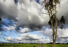 爱游戏娱乐-圣埃蒂安客场负于里尔，遭遇两连败，圣埃蒂安对里昂比分预测