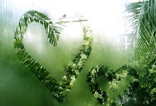 法兰克福豪取主场胜利 继续德甲连胜之路，法兰克福队