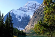 爱游戏教练-莱斯特城客场告捷，赢球继续领先积分榜，莱斯特城夺冠主力