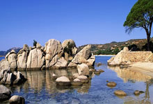 爱游戏娱乐-圣埃蒂安客场负于里尔，遭遇两连败，圣埃蒂安对里昂比分预测