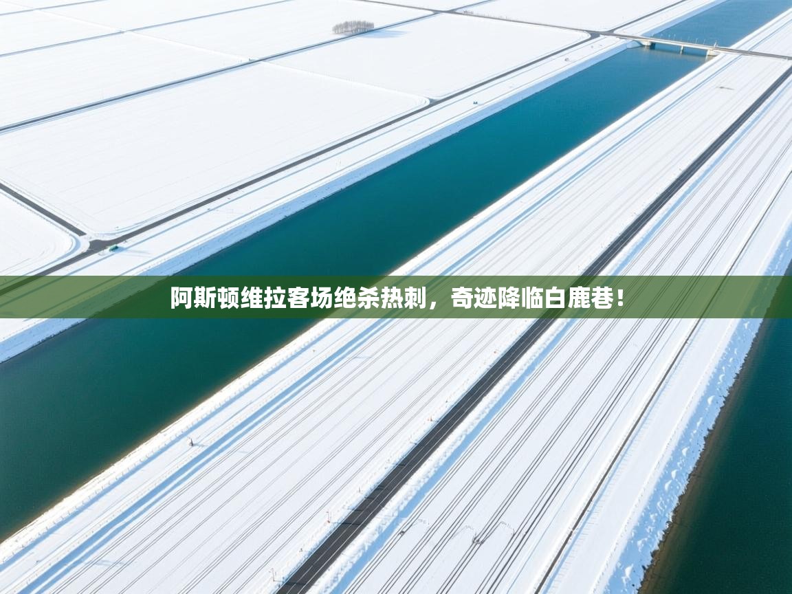 阿斯顿维拉客场绝杀热刺，奇迹降临白鹿巷！  第2张