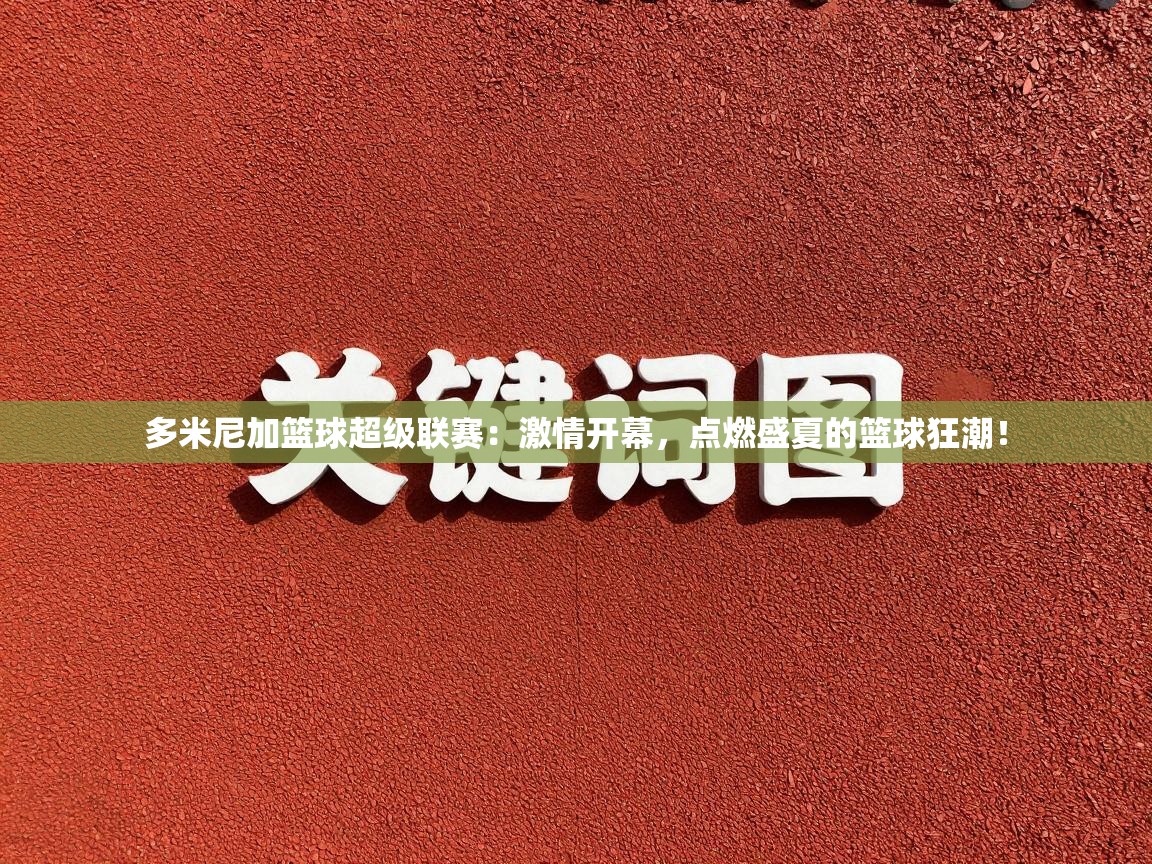 多米尼加篮球超级联赛：激情开幕，点燃盛夏的篮球狂潮！  第2张