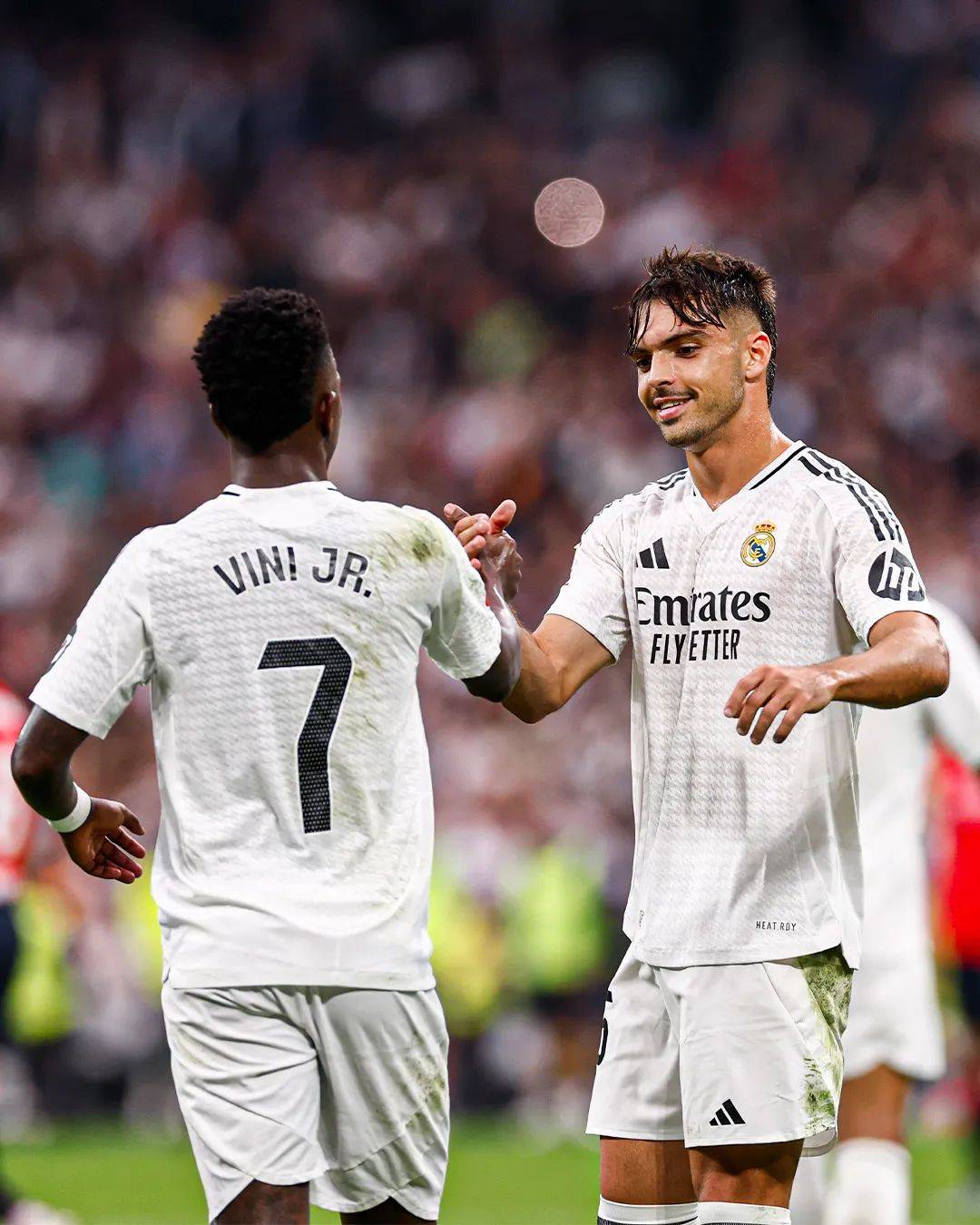 雷加内斯主场-不敌皇家社会(雷加利斯vs圣瑟巴斯提安雷耶斯)