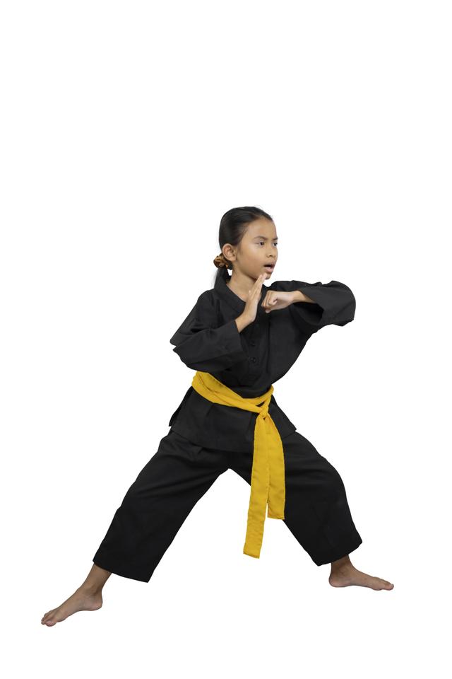 体育传奇崭露头角：一战成名的豪迈姿态的简单介绍