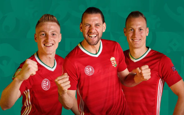 匈牙利球队成功晋级，欧锦赛资格赛阶段再有突破的简单介绍