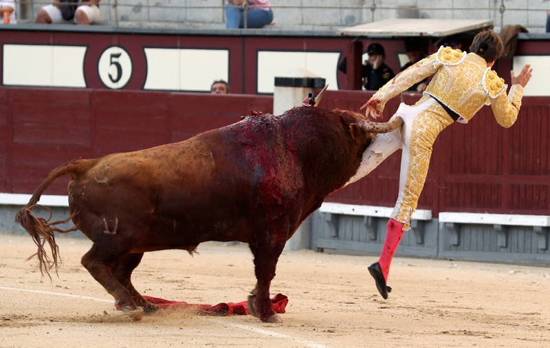 欧预赛惊险连连，胜者势不可挡的简单介绍