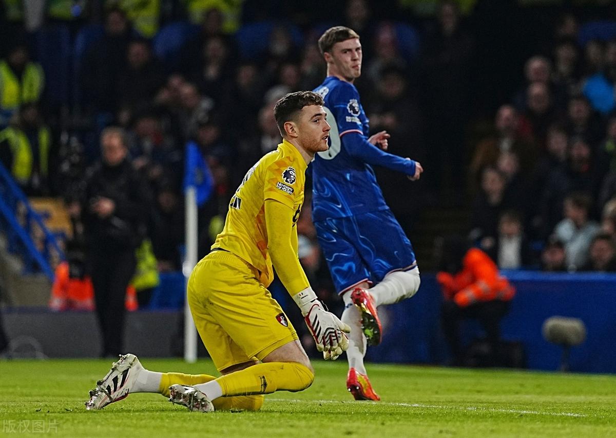 关于狼队负于纽卡斯尔，主场失分焦虑的信息