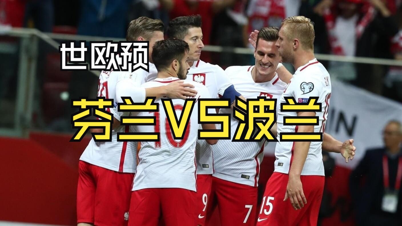 关于瑞士国家队备战欧洲杯预选赛对阵波兰的信息